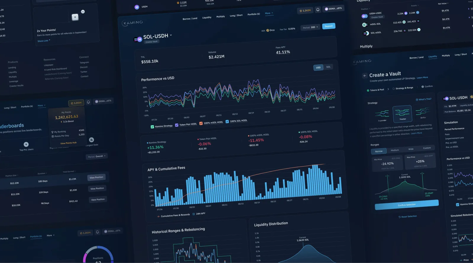 Kamino: the product across liquidity, multiply, portfolio and points