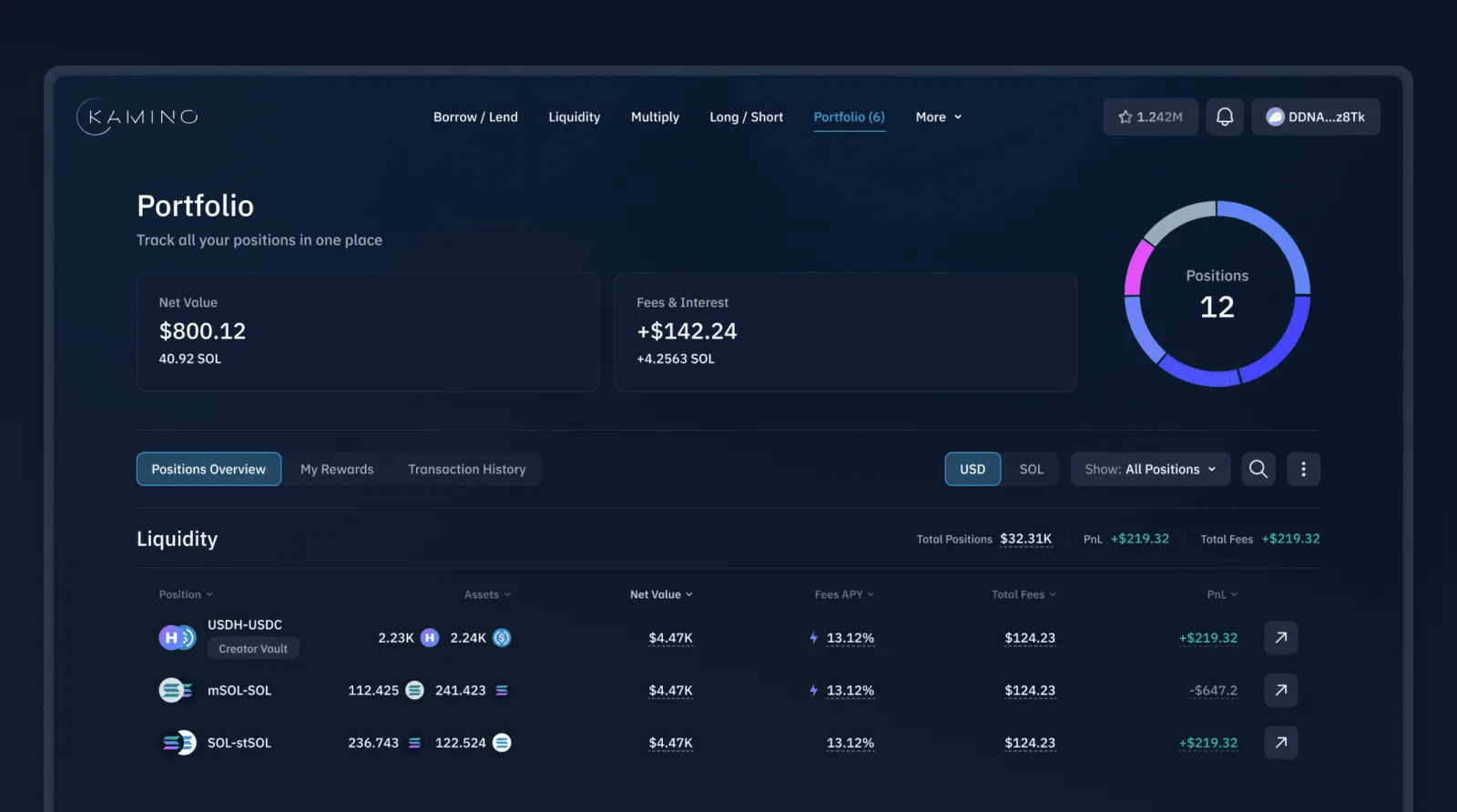 Kamino: portfolio and positions