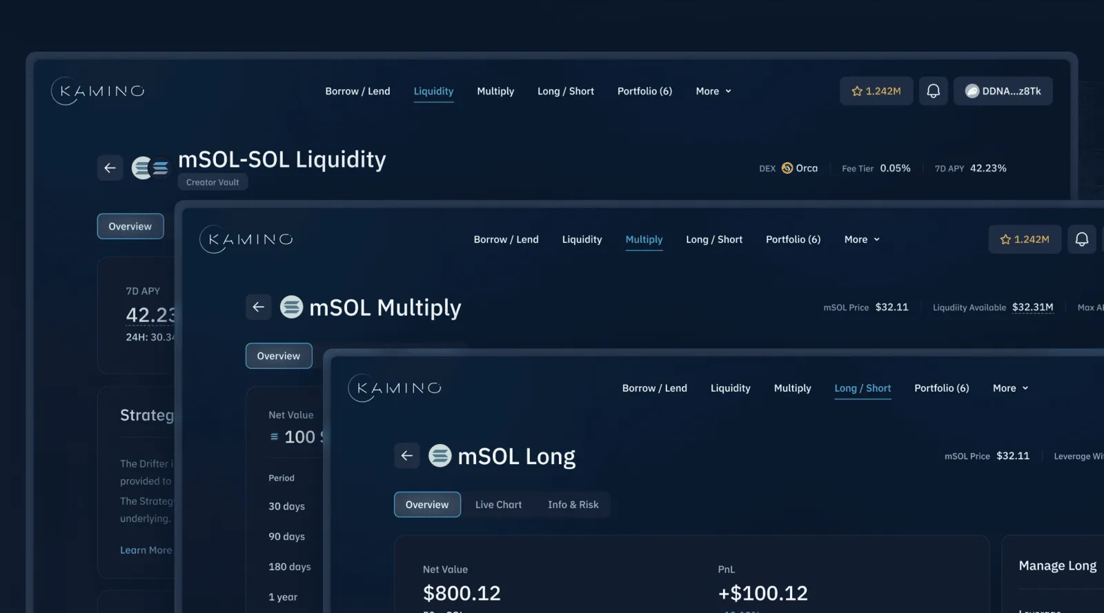 Kamino: Liquidity, Multiply and Long/Short pages sharing one page skeleton